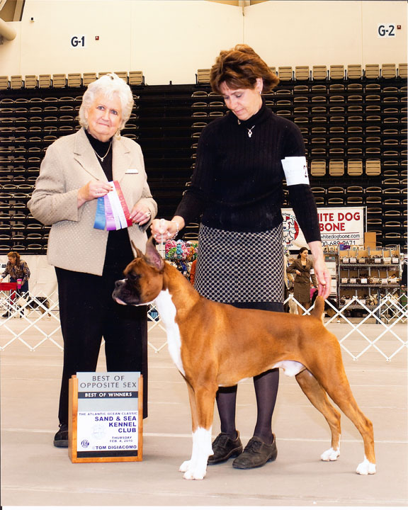 Sand and Sea Kennel Club